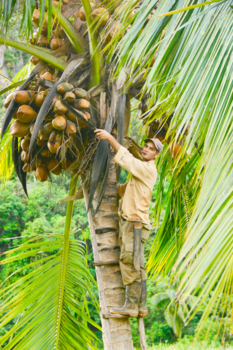 Viñales Valley - Love the cigars