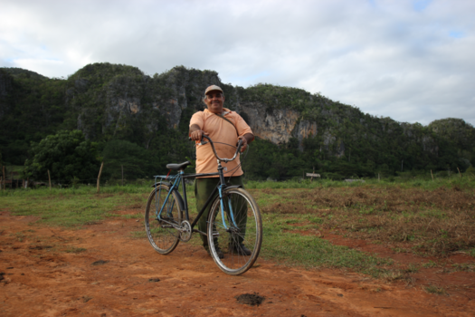 Viñales Valley - fietser in de vally