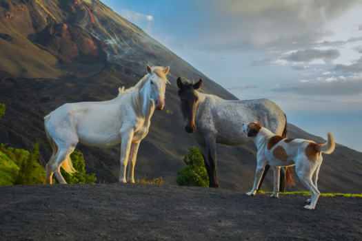 Antigua - Vulcano guatemala