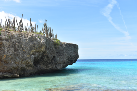 Bonaire - Jumping Rock