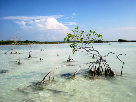 Mexico - Blue lagoon