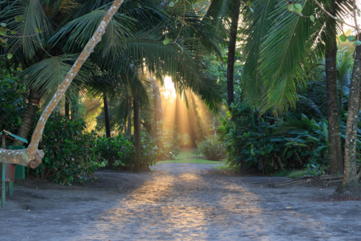 Rondreis hoogtepunten Costa Rica - Zonsondergang Tortuguero National Park