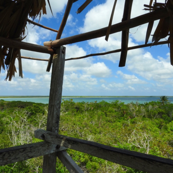Mexico - Nature at it’s best! #siaankaannationalpark