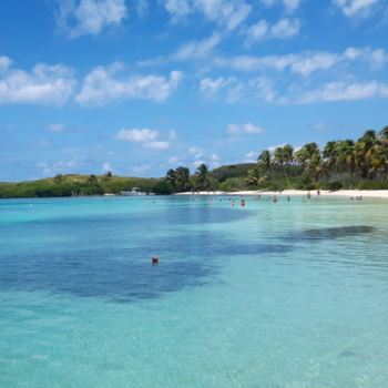 Mexico - Isla Contoy, een parel in Mexico