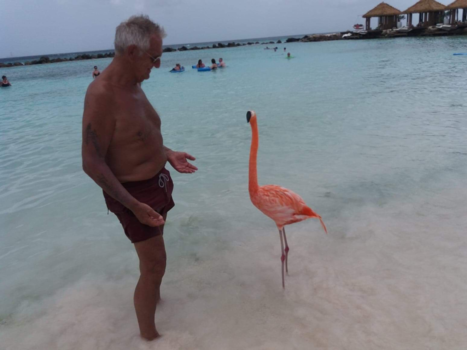 Aruba - Flamingo eiland Aruba.