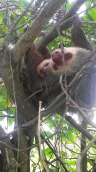 Costa Rica in drie weken - moeder en kind