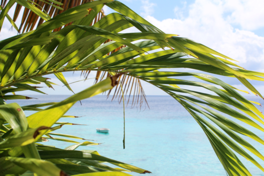 Curaçao - Paradijs, Kalki Beach