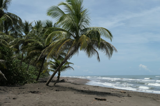 Costa Rica in drie weken
