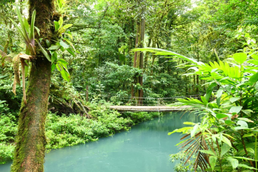 Costa Rica in drie weken