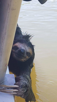 Costa Rica - Koek koek een medepassagier op de boot