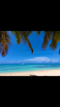 Santo Domingo (Dominicaanse Republiek) - Saona Suprème