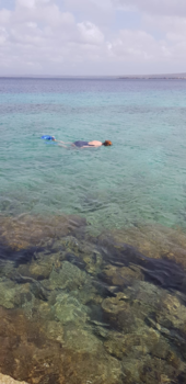 Bonaire - Fantastische onderwaterwereld