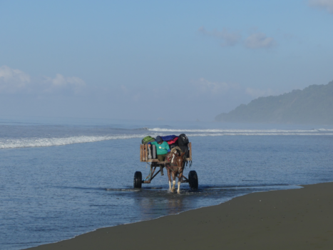 Rondreis Noord-Costa Rica - Corcovado