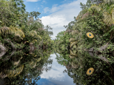 Rondreis Noord-Costa Rica - Tortuguero NP Costa Rica met spiegelbeeld