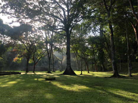 San Cristóbal en Palenque - Mayan Mornings