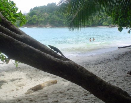 Costa Rica - Costa Rica: strand, jungle, flora, fauna en mensen :)