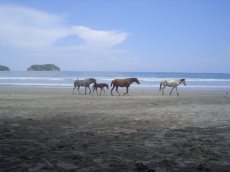 Tortuguero National Park - Bijna alleen op de wereld in Costa Rica