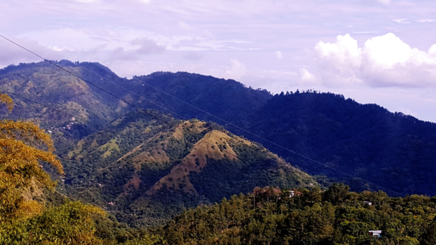 Jamaica - The Blue Mountains