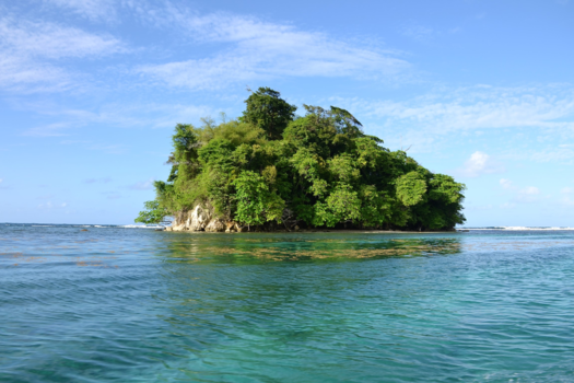 Jamaica - Monkey Island