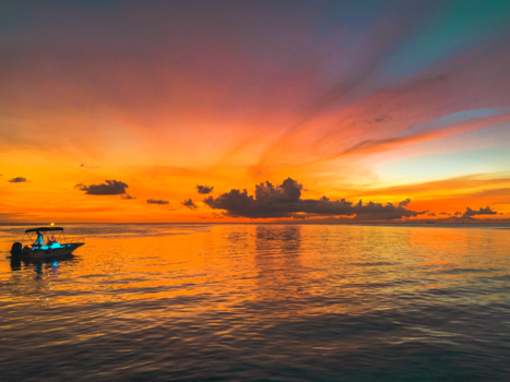 Curaçao - Exploring the sea