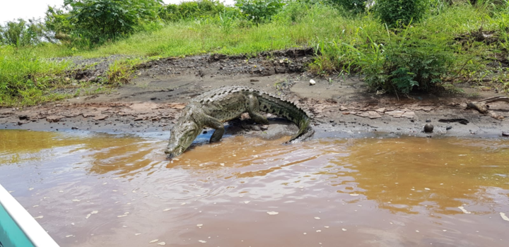 Costa Rica in drie weken