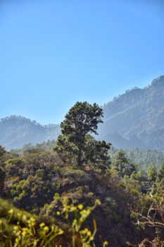 La Palma - The extraordinary