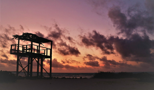 Bonaire - Goedemorgen