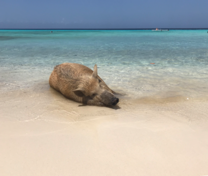 Curaçao - Porto Marie, Curacao