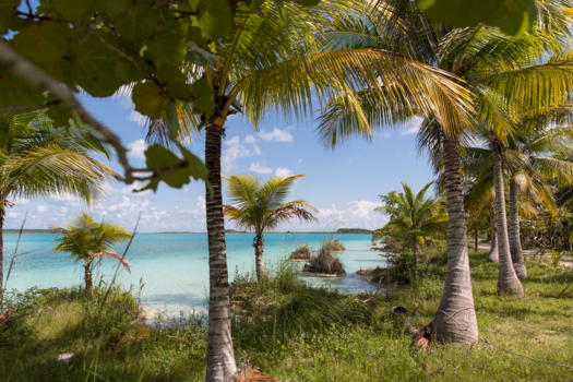 Laguna Bacalar - Tropisch blauw en groen