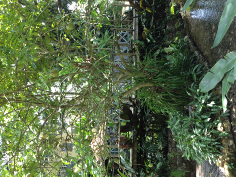 Jamaica - Geweldig avontuur ter gelegenheid van ons 30-jarig huwelijk. (gekregen van vrienden)