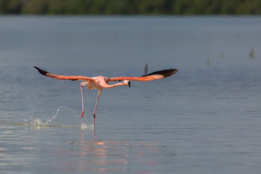 Mexico - ready to take off to Holbox Island, Mexico
