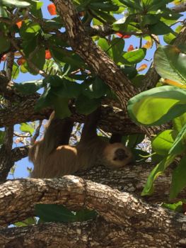 Costa Rica - Just chilling..
