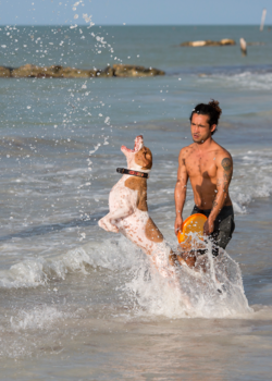 Mexico - springende zeehond ;-)