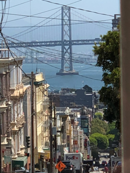 Rondreis Caribische kust Costa Rica - Love from SF💖