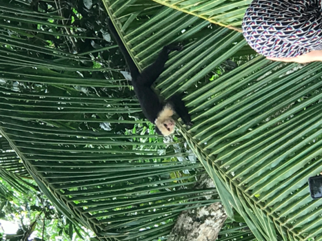 Costa Rica in drie weken