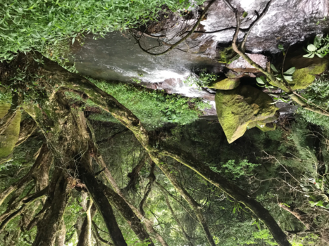 Costa Rica in drie weken