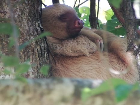Rondreis Noord-Costa Rica - lekker slapen, op mijn gemakje