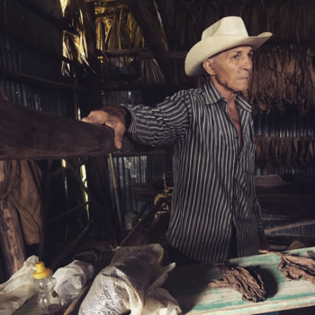 Viñales Valley - Sigarenmaker in Cuba