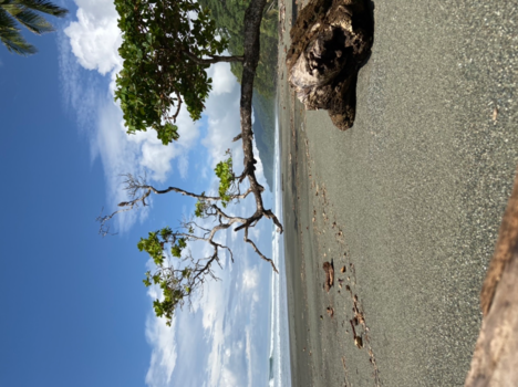 Corcovado National Park - Beach Corcovado Costa Rica