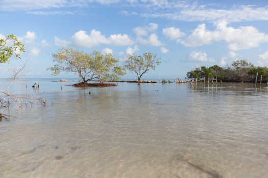 Mexico - Wandel richting Punta Mosquito
