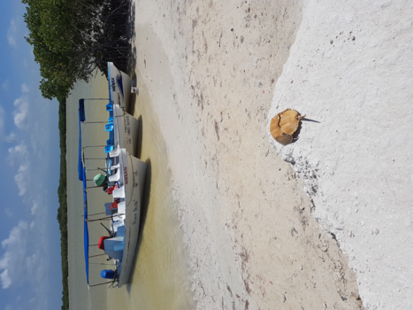 Playa del Carmen - Rio Lagartos