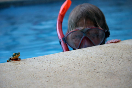 Rondreis Noord-Costa Rica - Twee kikkers ?