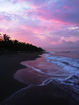 Costa Rica - Zonsondergang tortuguero