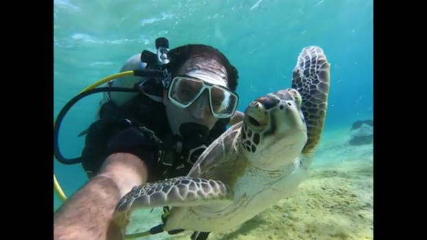 Bonaire - Een selfie met een schildpad (zonder hem aan te raken) - Salt Pier