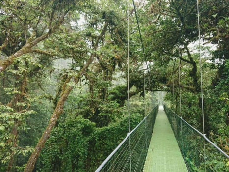 Costa Rica - Monteverde