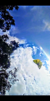 Costa Rica in drie weken - Vlinder