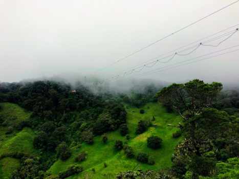 Costa Rica in drie weken - Monteverde bundgee