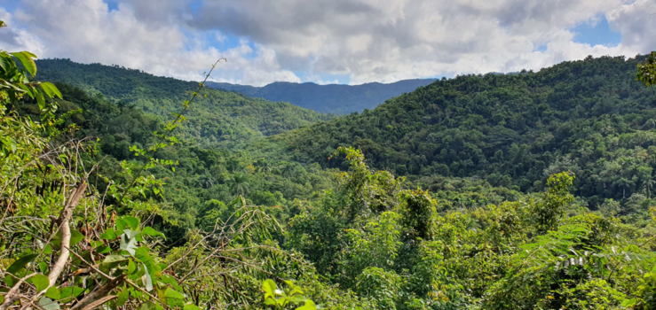 Topes de Collantes - Uitzicht