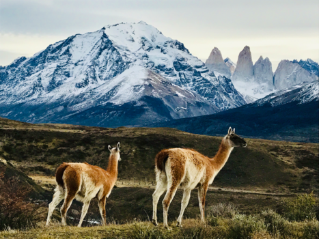Rondreis Caribische kust Costa Rica - Wauw! torres del paines