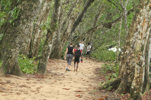 Costa Rica in drie weken